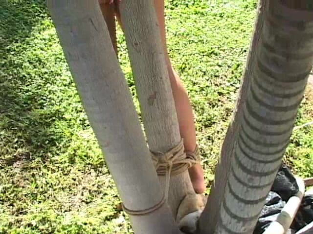 Hogtied by Kink: Cabo: hafta sonu kabusu bölüm 2