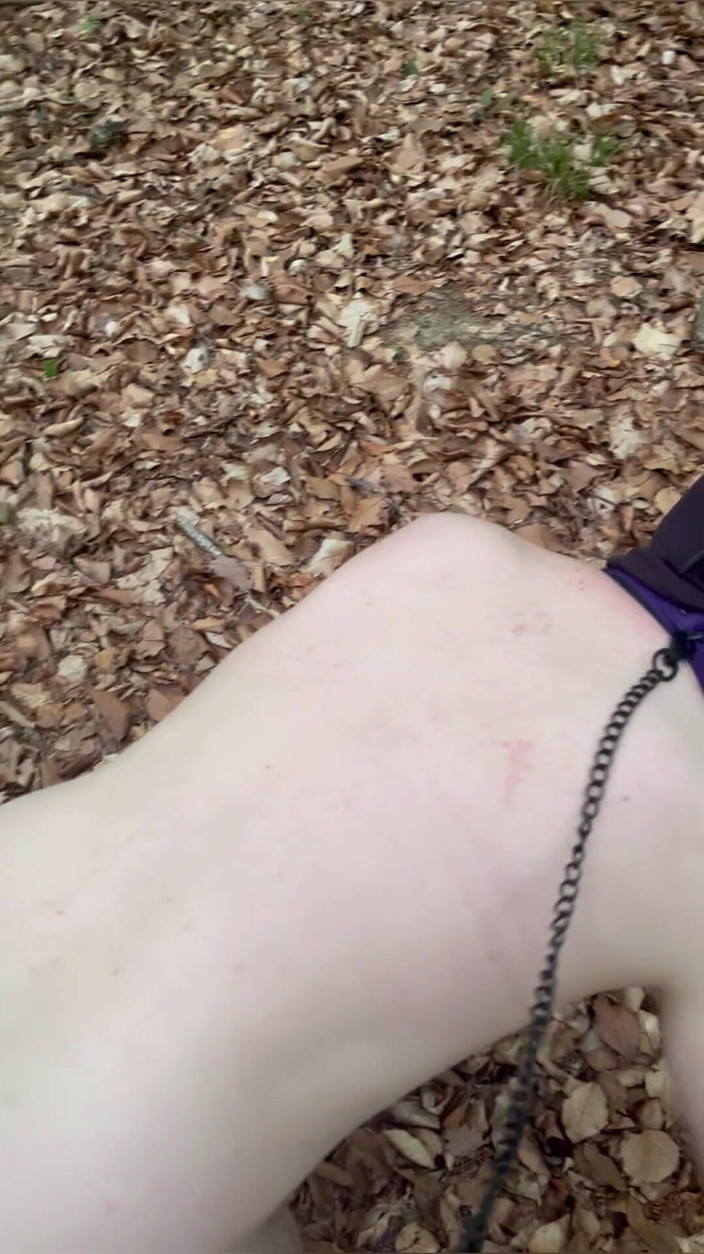 Maitresse Clara: 在森林里的羞辱......