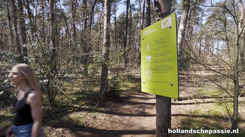 Hollandsche Passie: The Ultimate Fan - Hollandschepassie