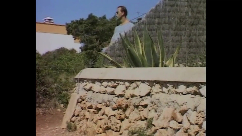 MMV Films and Clips XXX: Când nemțoaicele merg în vacanță și vor să se fută