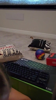 Sugând pula în teatrul de acasă - Mama Foxx