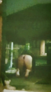 โชว์ก้นข้างนอก (สนามหน้าบ้าน)