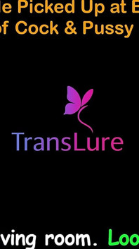 Histoire de sexe audio en anglais - une grande trans timide se fait draguer au bar - nuit passionnée de bite et de chatte - partie 2