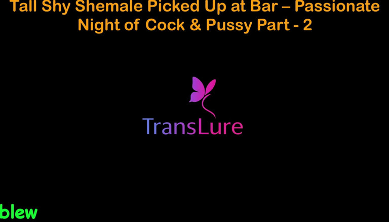TransLure: English Audio Sex Story - Tall Shy Shemale Picked up at...