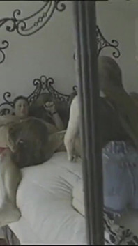 Slutty Girls Enjoy an Anal Orgy
