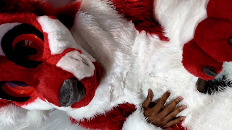 PawgrammerSocks: Furry in Full-body Fursuit Pisses on You, Then Cums Over...