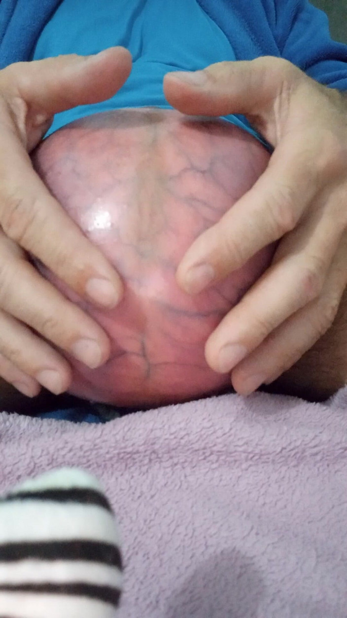 Lion big balls: Extreme lucht