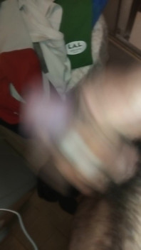 Hard and Unshaved Cock Always Ready