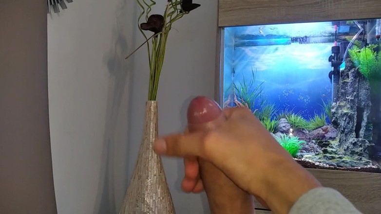 Elvissc: Sexy mladý chlap si šuká svého pěkného velkého ptáka, dokud se...