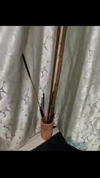 杖を使いこなす 1
