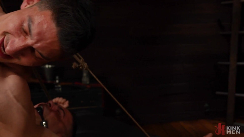 Taken rough: Pieprzyć świnie