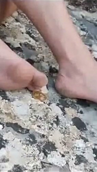 Bosá 37