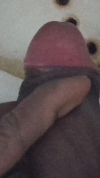 Land Dkkd
