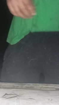 Show Ass