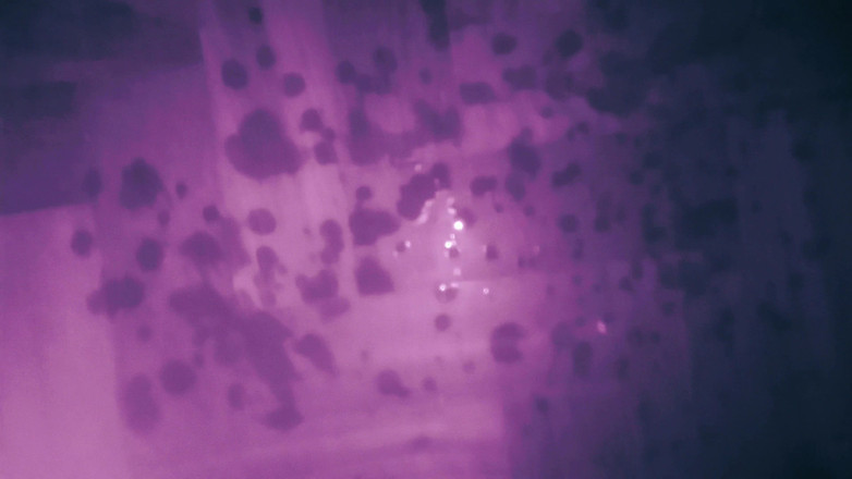 Lily & Theo: Carnaval é um momento para pecado, para me satisfazer em sua...