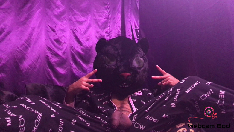 Arthur Eden aka Webcam God: Svart kattkatt (4 k)