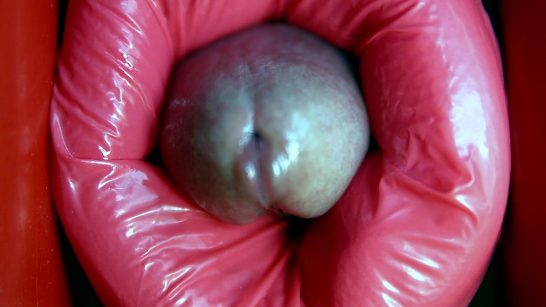 SEXY_GUYBEST: 大鸡巴卡在洞里