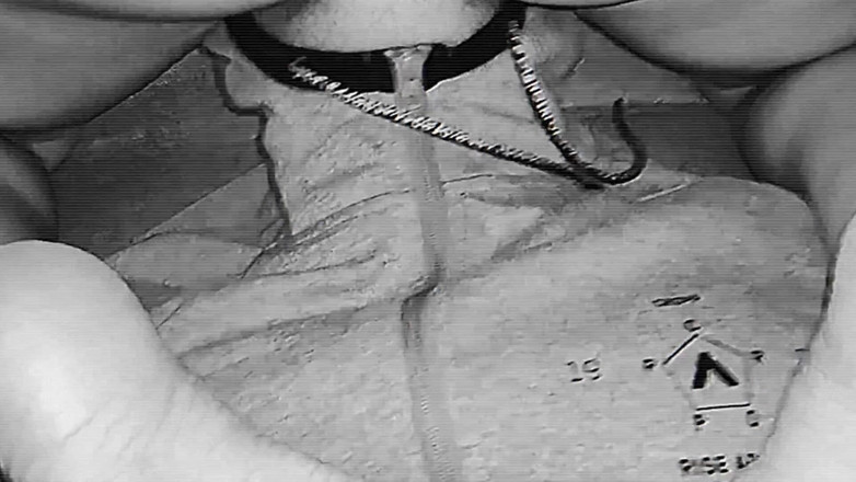 My Fetish Girl: 義理の妹はお尻で私の顔の上に座りました