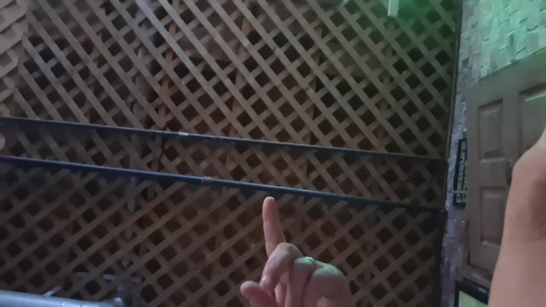 City hog: Rover sehingga siku