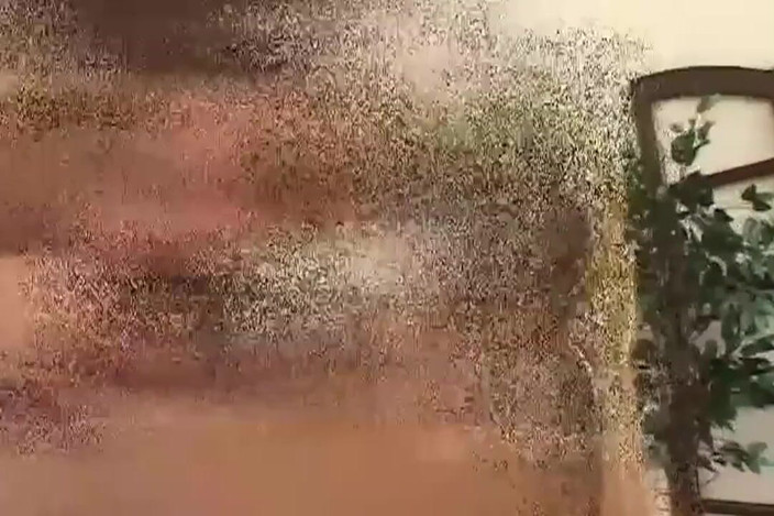 Planet Shemale: Horny Transgenders Fuck Party Vol.4