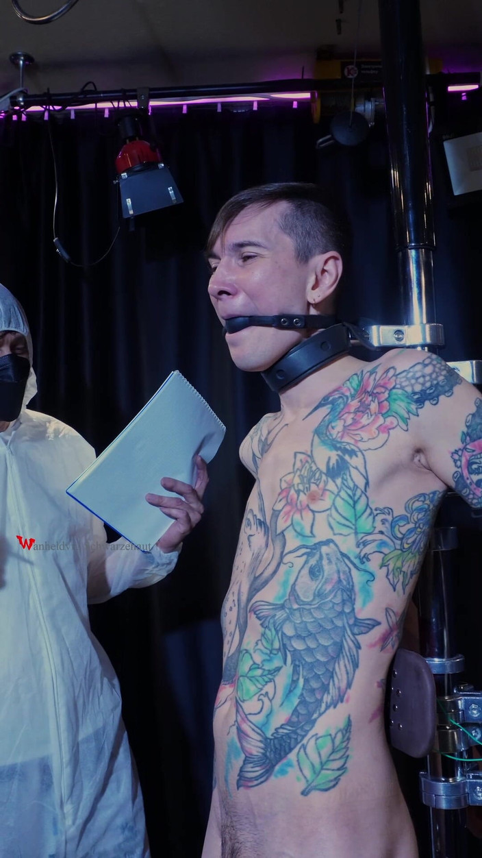 Wanheldvig: Stando di ricerca niki electrical: preoccupazione sexy, morsetti multi-cavo e...