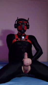 Needy Pet Jerks His Cock on His Knees
