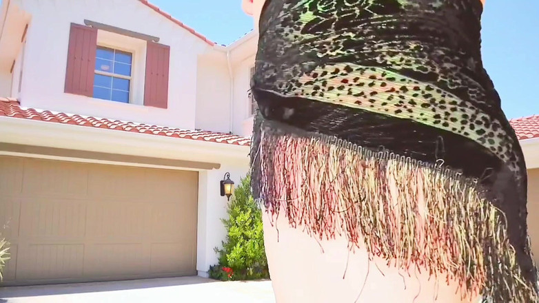 Kitty_Cross: 써니 메도우에서 로즈 크라운을 입은 화려한 Sissy