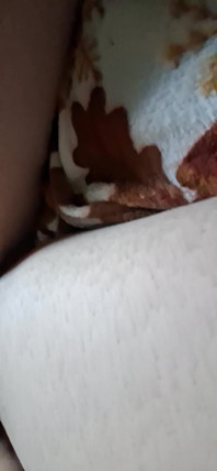 Horny and Full