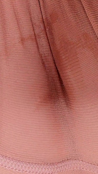 4503619