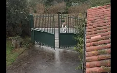 Amami il patrigno