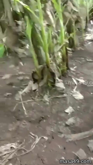 DeadBattery: Tante met haar minnaar betrapt door echtgenoot