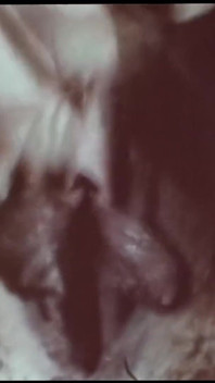 Vintage porno retro teatro erótico - morena celestial