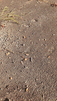 Djk31314: Procházka poblíž dálnice