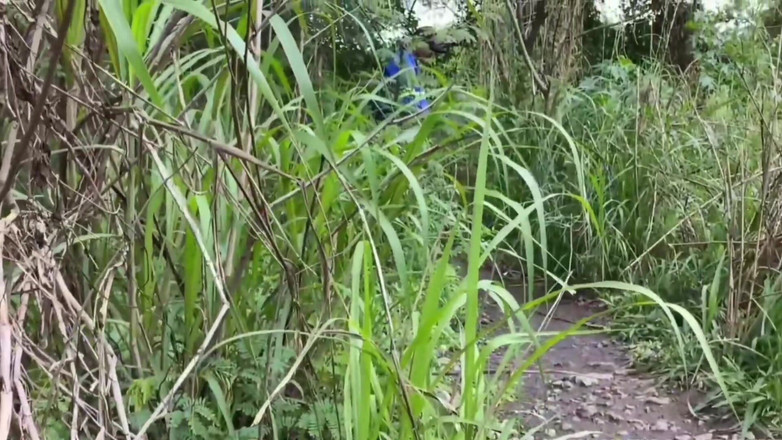 TheBlacKHunterr: De arbeider ging door het park en kreeg een