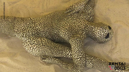 ZentaiDolls: Chương trình contortion