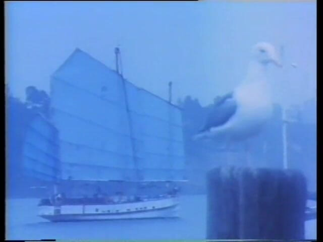 Vintage megastore: Film américain vintage complet « hurle de plaisir »