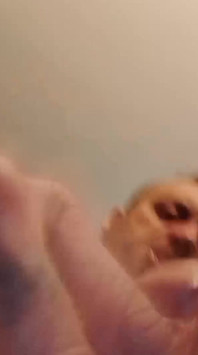 Janerobotajem