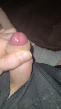 Penis