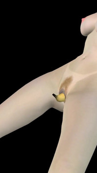 Geanimeerde 3D-porno - heel mooi meisje masturbeert met banaan tot een orgasme