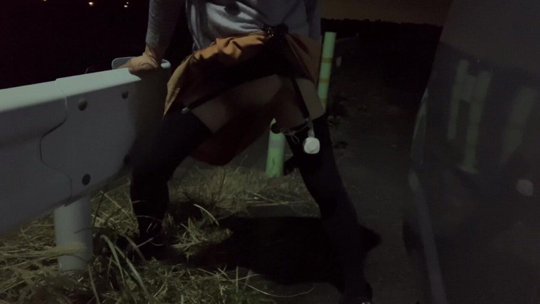 megu2002: 독립 훈련 No32 강아지 자세 야간 산책 중