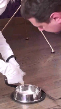 Suck this full of cum condom slave