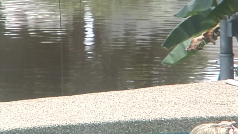 Dream Girls: Zwei bffs mit dicken titten frollen sich nackt in einem...