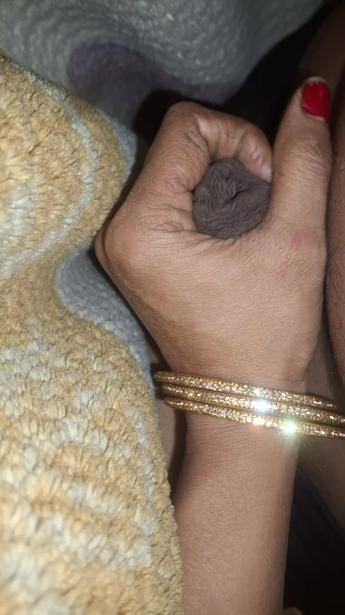 Busty Banuu: Büyük memeli kadın komşu tarafından sikiliyor