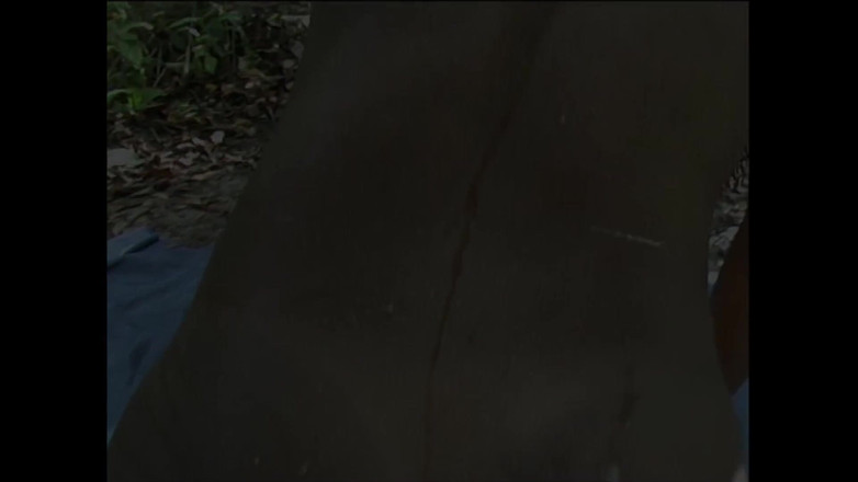 King Of Amateur: In Dune Buggy gefickt