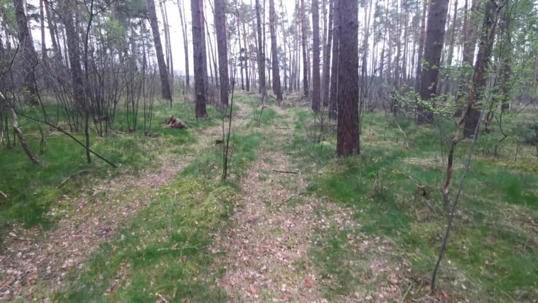 Bouncy Tits Action: Sert meme ezme