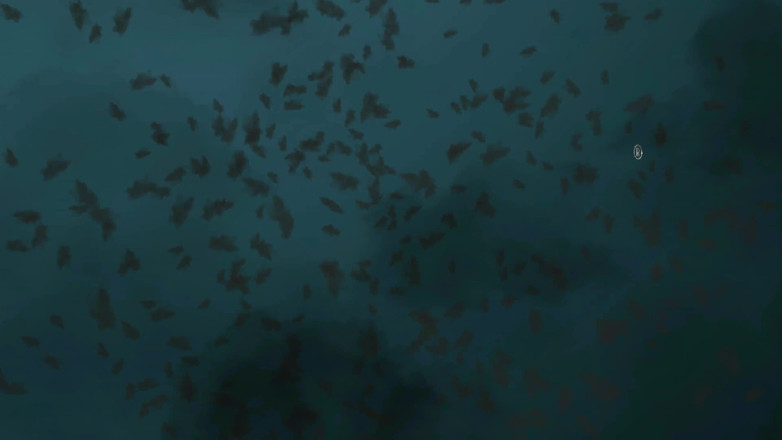 Strict Senz: Ladyzara Mlle Allessa Milano Corps Huilé Chatouillement Dur Punition