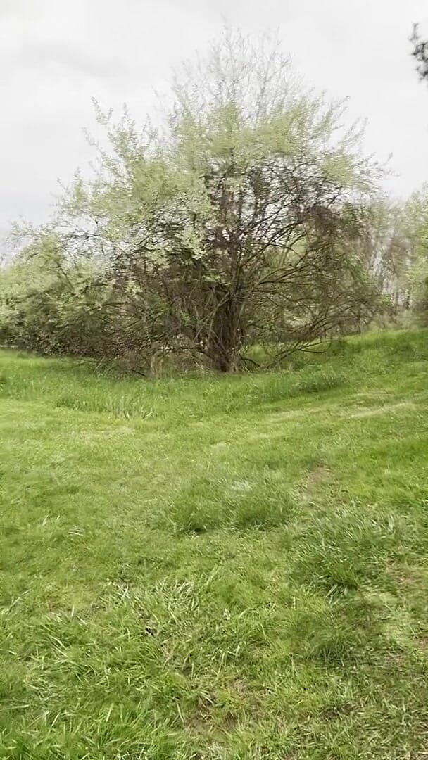 Jockstrap Park Tease: Muscular Asian Hunk Flexes, Fucks the Grass & Explodes in Cum (Barenakedboy)