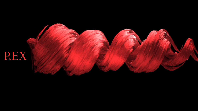 Rex Ringo XXX Productions: Victoria gracen 2