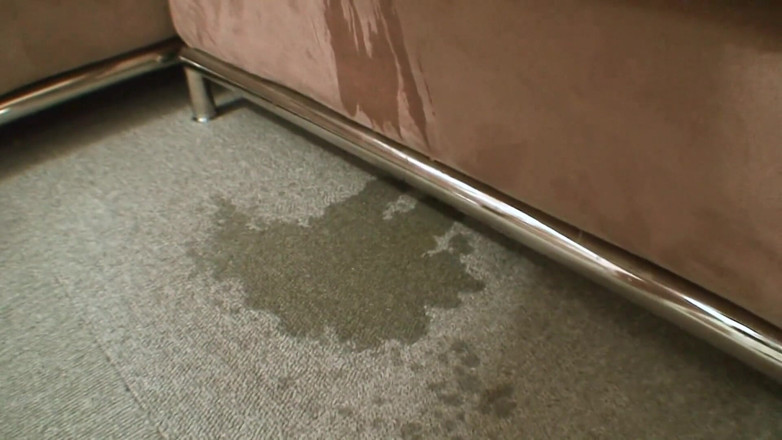 Japan Lust: Japanese cougar squirts all over the couch in anticipation