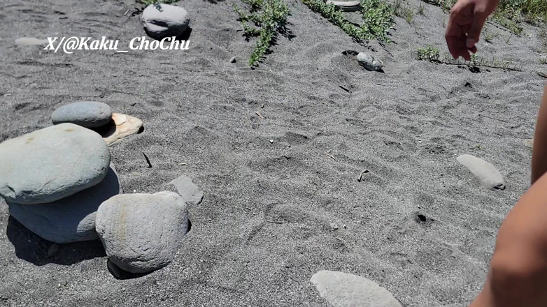 Calven: Прибережна джунглева гармата